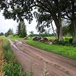 Zurawi Krag * Kamionka (Olsztyn)